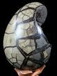 Septarian Dragon Egg Geode - Black Crystals #56400-2